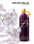 Montale Aoud Purple Rose EDP 100 ml