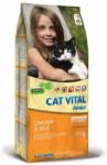 Cat Vital Adult chicken & rice 10 kg