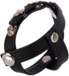 CalExotics Colt H-Piece Divider