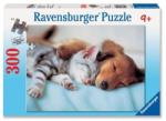 Ravensburger 13114 Vise Placute 300 Puzzle