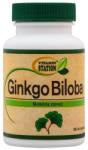 Vitamin Station Ginkgo Biloba 100 db