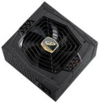 FSP Aurum S 400W Gold