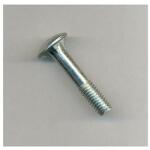  kapupántcsavar m 6x 70, horganyzott din-603