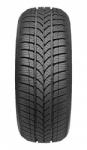 Taurus 601 225/55 R16 95H
