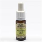 Bach Erdeifenyő Virágeszencia 10 ml