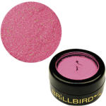 BrillBird - Micro Glitter - 10