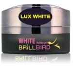 BrillBird - LUX WHITE - LUXUS FEHÉR ZSELÉ - 5ml