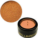 BrillBird - Micro Glitter - 1