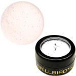 BrillBird - Micro Glitter - 15