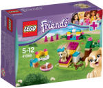 LEGO® Friends - Kutyaoktatás (41088)