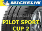 Michelin Pilot Sport Cup 2 XL 325/25 R20 101Y