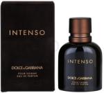 Dolce&Gabbana Intenso pour Homme EDP 40 ml Parfum