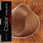 Carin Haircosmetics Color 10.1 100 ml