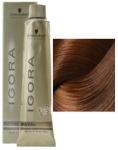 Schwarzkopf Igora Royal 6-70 60 ml