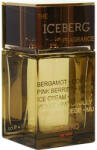 Iceberg The Iceberg Fragrance EDP 30 ml Parfum
