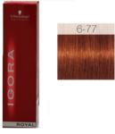 Schwarzkopf Igora Royal 6-77 60 ml