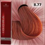 Schwarzkopf Igora Royal 8-77 60 ml