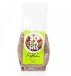 Solaris Psyllium 100g