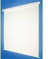 MW-Screen Rollfix Pro Electric RC 350x248 cm