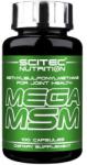 Scitec Nutrition Mega MSM 100 db