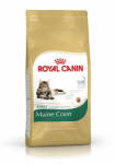 Royal Canin FBN Maine Coon 31 4 kg