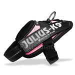 Julius-K9 IDC - Power ham, roz Baby 1