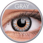 MAXVUE VISION ColourVUE Glamour - Gray - dioptria nélküli, negyedéves (2 db)