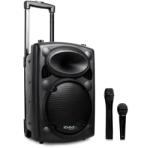 Ibiza Sound PORT10VHF-BT Monitor de scena