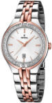 Festina F16868/2 Ceas