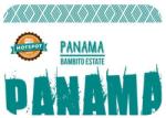 HotSpot Coffee Panama Bambito Estate 250 g
