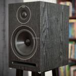 Acoustic Energy 101 Boxe audio