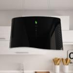 Falmec Mare E.ion 66cm [Isola] Black (CENN66.E0P6#ZZZN441F) Hota