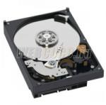 Western Digital WD Green 500GB 32MB 7200rpm SATA2 (WD5000AADS)