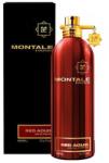 Montale Red Aoud EDP 100 ml Parfum