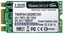 Team Group Type 2242 128GB TM4PS4128GMC101
