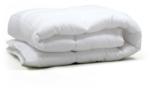 Naturtex Familia dupla téli paplan 200x220 cm 1500 g (05972)