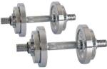 inSPORTline Set gantere cromat 2x10 kg 5413IN