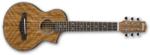 Ibanez EWP14WB Open Pore Natural