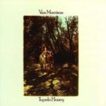 Van Morrison Tupelo Honey(180g)