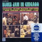 Fleetwood Mac Blues Jam In Chicago Vol. 1