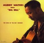 Muddy Waters Sings Big Bill