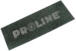 PROLINE Plasa Smirghel 290x105mm - Gr. 100 (61810)