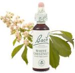  Bach-virágeszencia 35. White Chestnut (Fehér Vadgesztenye) Nelson's 20ml