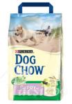 Dog Chow Puppy Lamb & Rice 2x14 kg