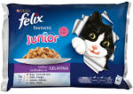 FELIX Fantastic Junior chicken & salmon 4x100 g