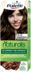 Schwarzkopf Palette Natural Colors 4-0/700 Középbarna