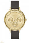 Skagen SKW2393 Ceas