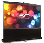 Elite Screens F84NWV