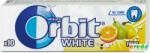 Orbit White Fruit 14g