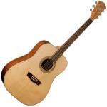 Washburn WD7S